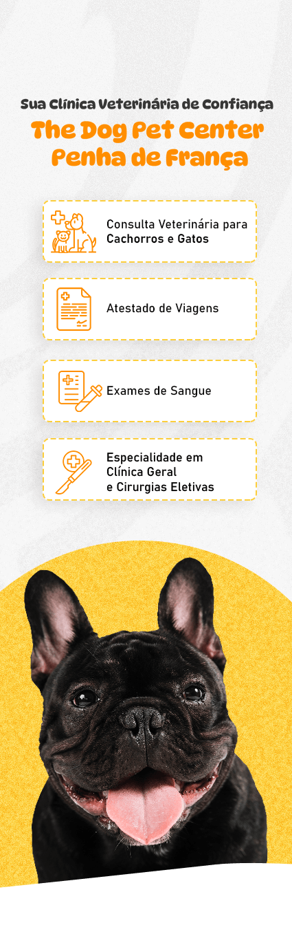 mobile-banner-the-dog-clinica-veterinaria-penha-de-franca