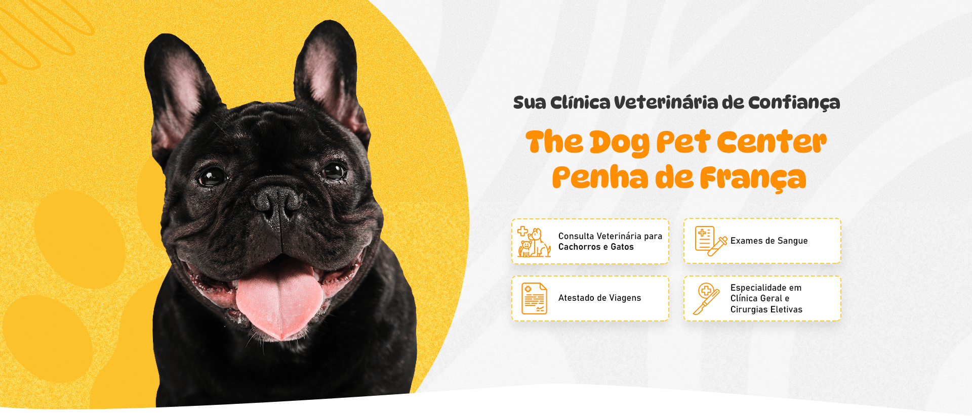 the-dog-pet-center-penha-de-franca-sua-clinica-veterinaria-de-confianca